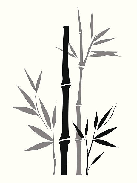 459x612 Bamboo Clipart Vector