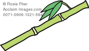 300x172 Clip Art Illustration Of A Bamboo Stem