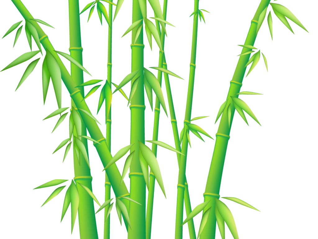 Bamboo Clipart | Free download on ClipArtMag