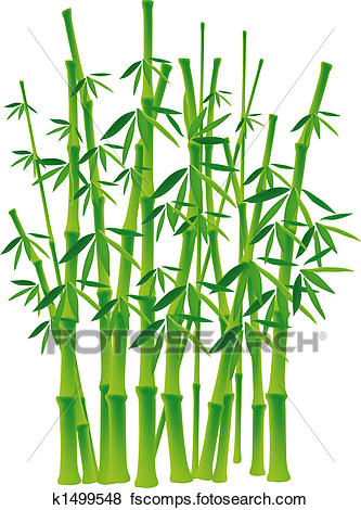 333x470 Stock Illustration Of Bamboo Tree K1499548