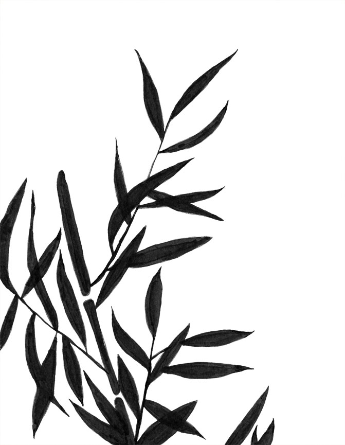 671x865 Bamboo Clip Art Archives