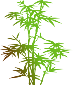 255x297 Bamboo Png, Svg Clip Art For Web