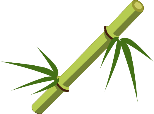 526x389 Bamboo Stick Png Transparent Image Png Mart