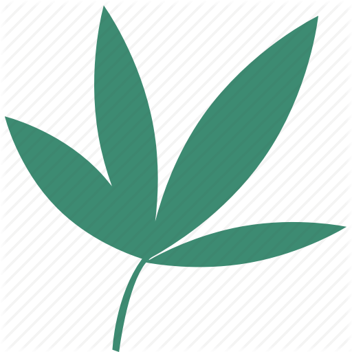 512x512 Bamboo, Leaf Icon Icon Search Engine