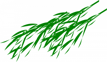 420x246 Bamboo Clipart Transparent