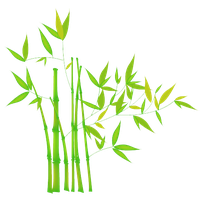 200x200 Download Bamboo Free Png Photo Images And Clipart Freepngimg