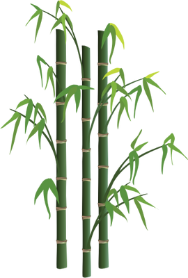 270x400 Nature Png Collection