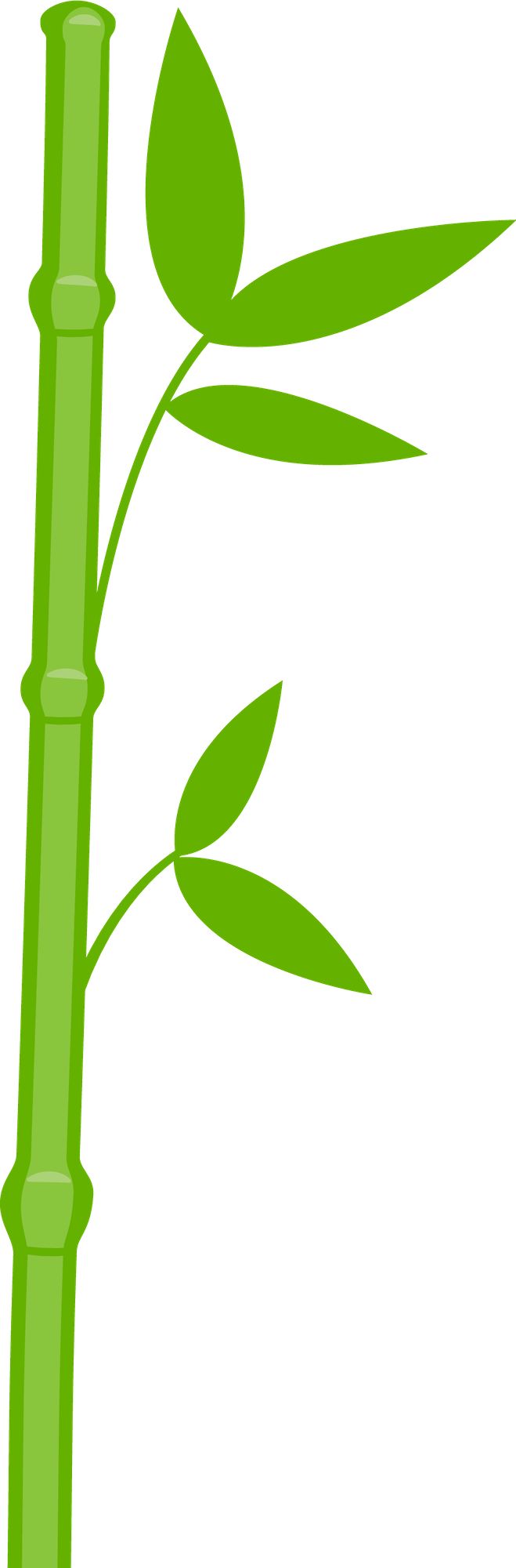 659x2000 Bamboo Clipart Stem