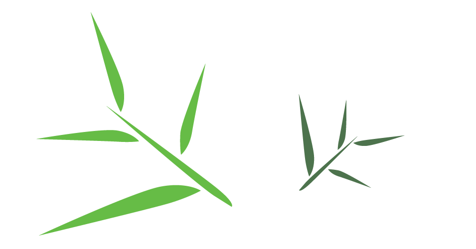 955x500 Bamboo Leaf Png Free Download Png Mart