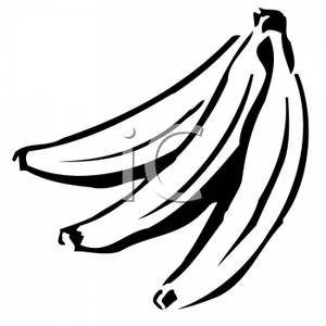 300x300 Banana Clipart B W