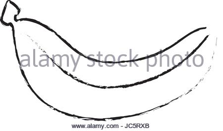 450x265 Banana, Sketch Stock Vector Art Amp Illustration, Vector Image