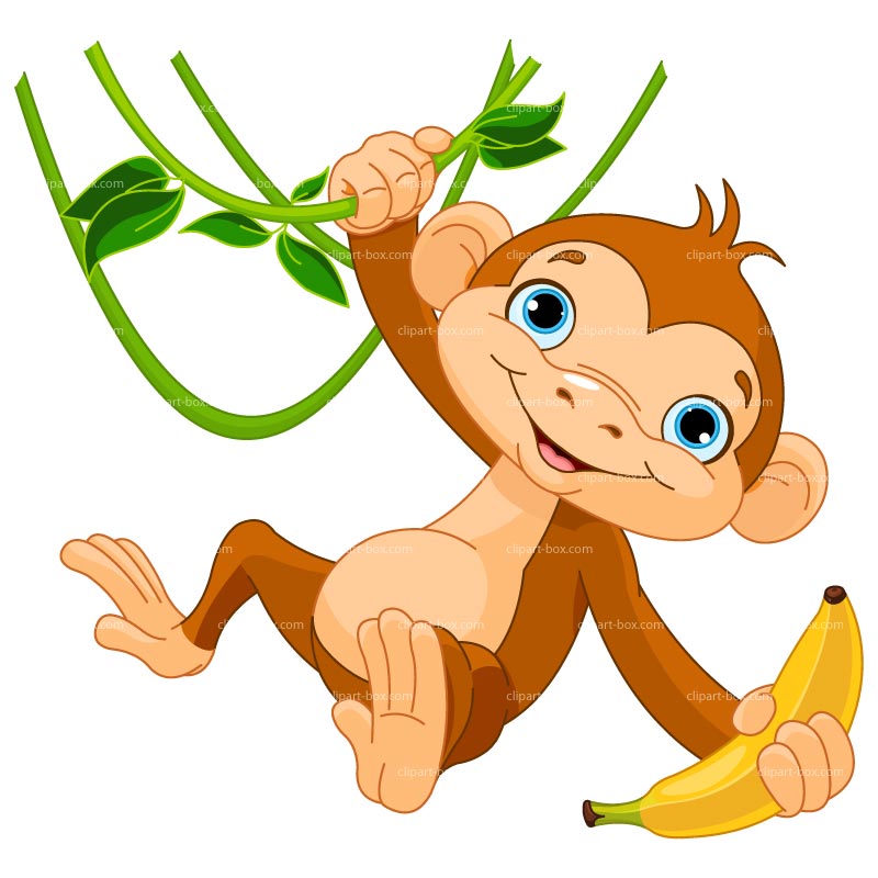 800x800 Monkey Banana Clipart Free Clipart Images