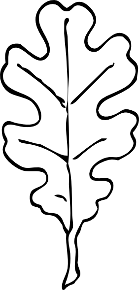 282x589 Banana Tree Leaf Outline Clipart