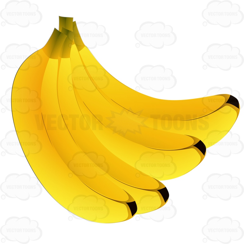 800x800 Bunch Of Bananas Cartoon Clipart