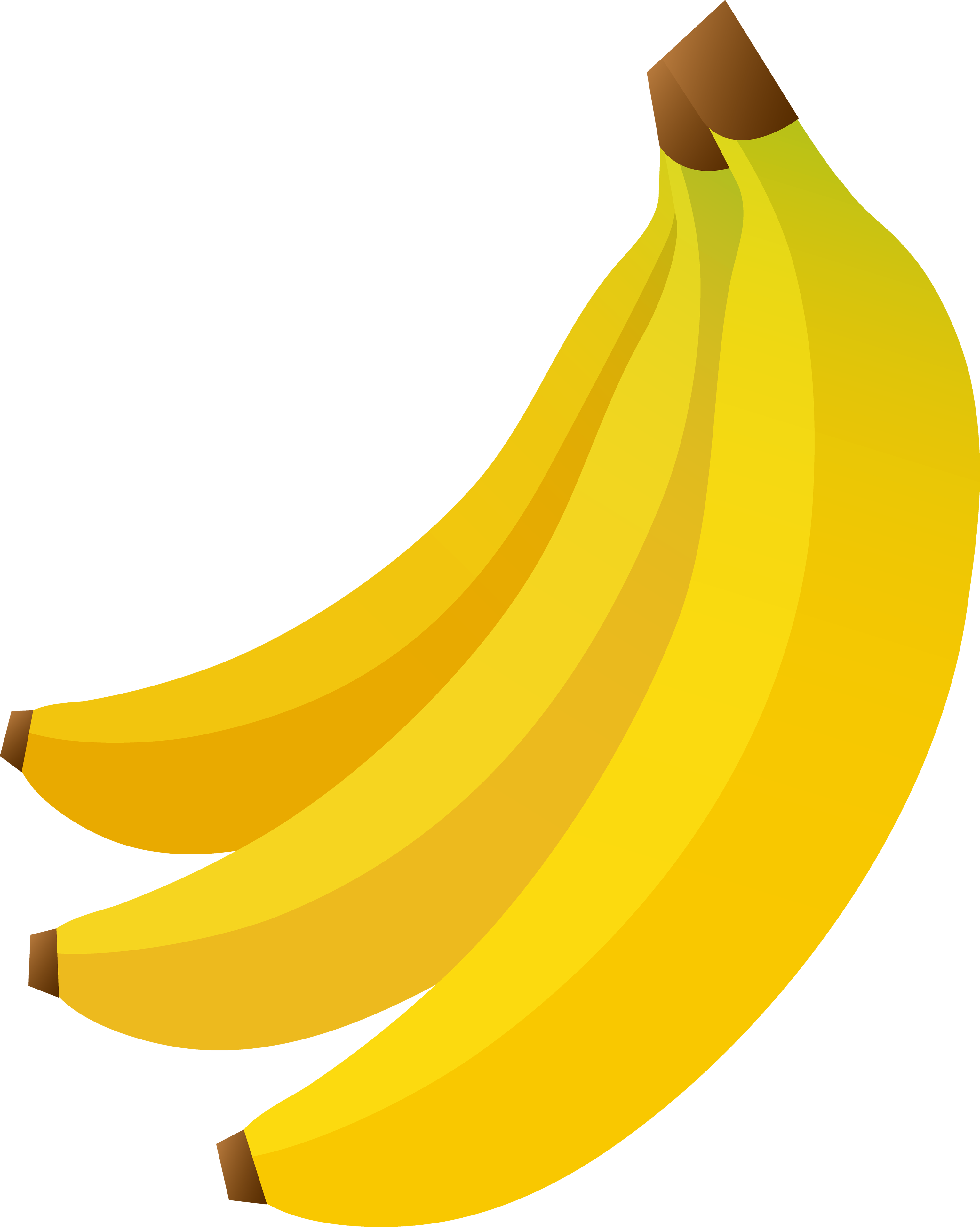 3063x3834 Banana Png In High Resolution Web Icons Png
