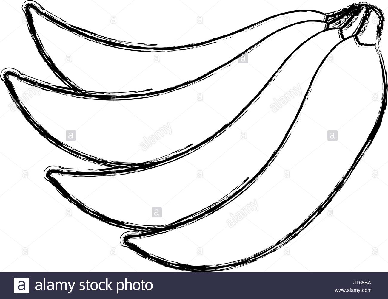 1300x1004 Ripe Banana Black And White Stock Photos Amp Images