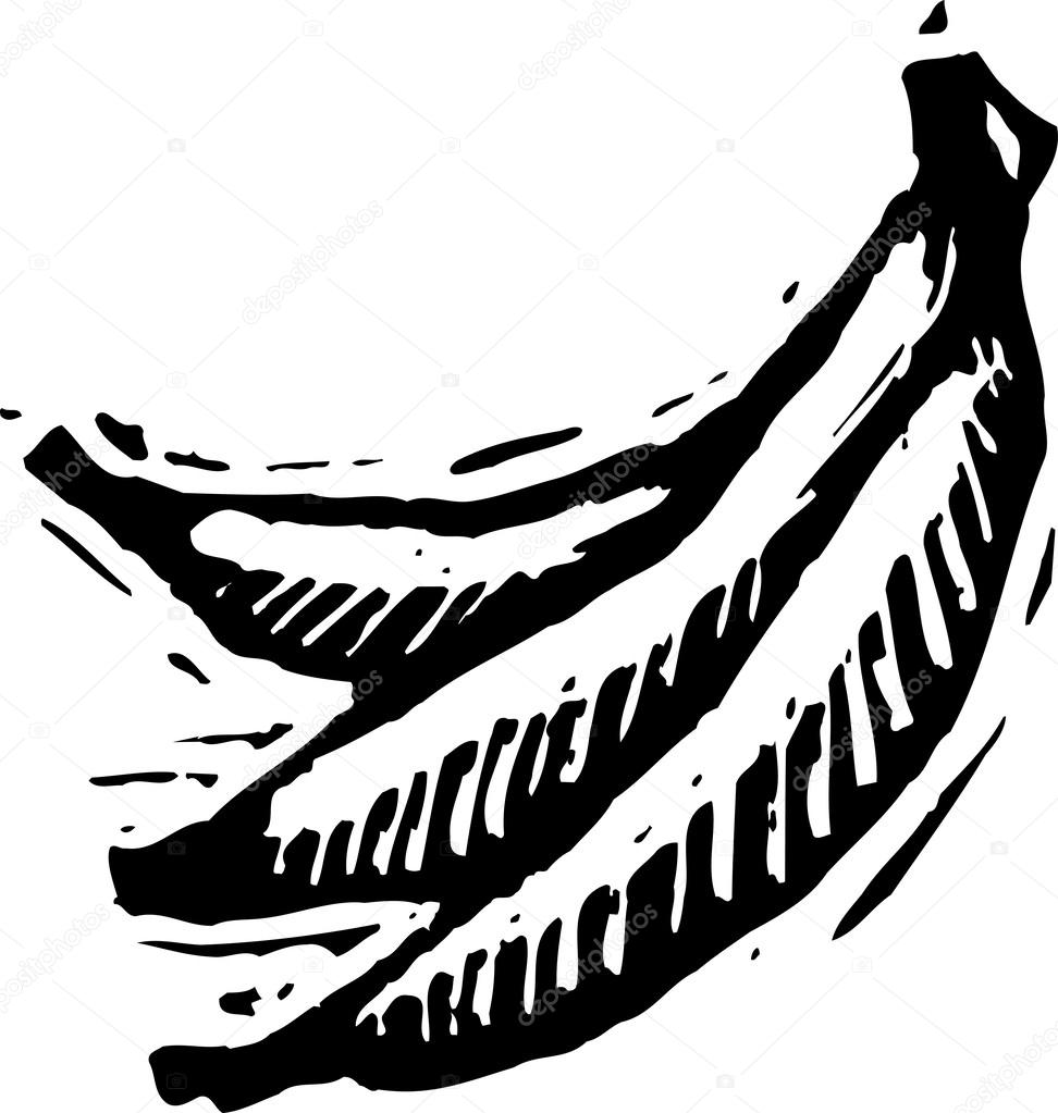972x1023 Woodcut Illustration Of Bananas Stock Vector Ronjoe