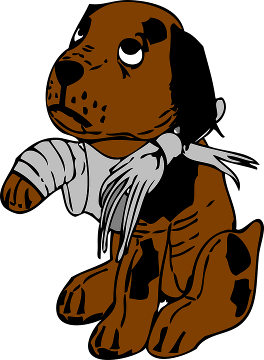 528x720 Pets Clipart Bandage