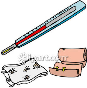 295x300 An Elastic Bandage, And A Thermometer