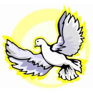 375x375 Baptism Of Our Lord Diocesan