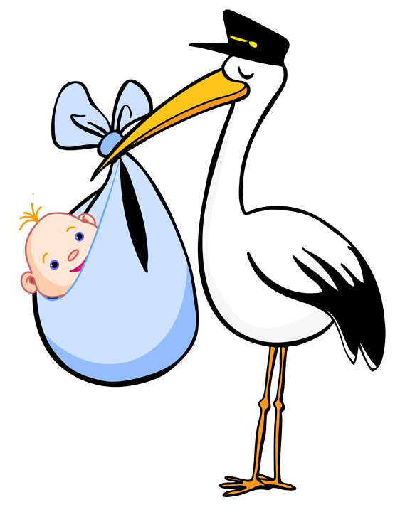 562x720 Free Clip Art For Birth Clipart Panda