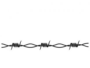 310x233 Barbed Wire Clipart Different