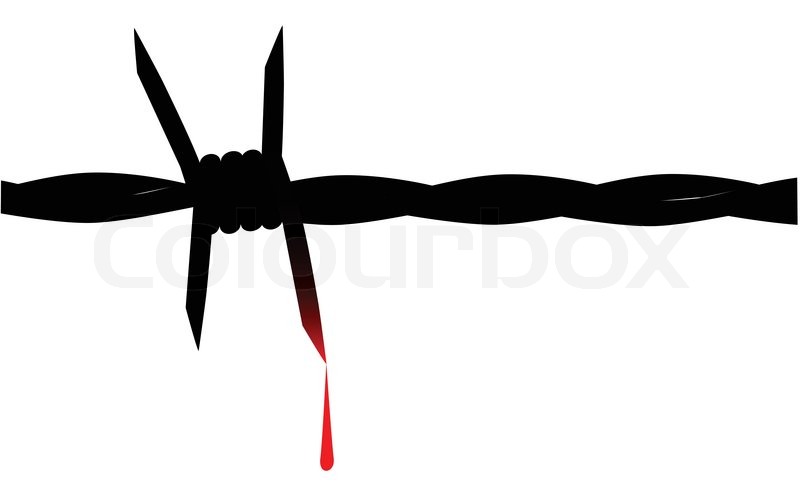 800x500 A Section Of Barbed Wire Fencing Isolated On A White Background