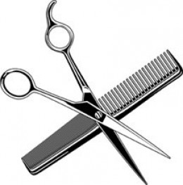 260x262 Hair Clipart Tool