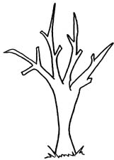 161x225 Bare Tree Clip Art Clipart Panda