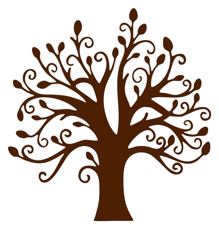 736x769 Tree Without Leaves Clipart