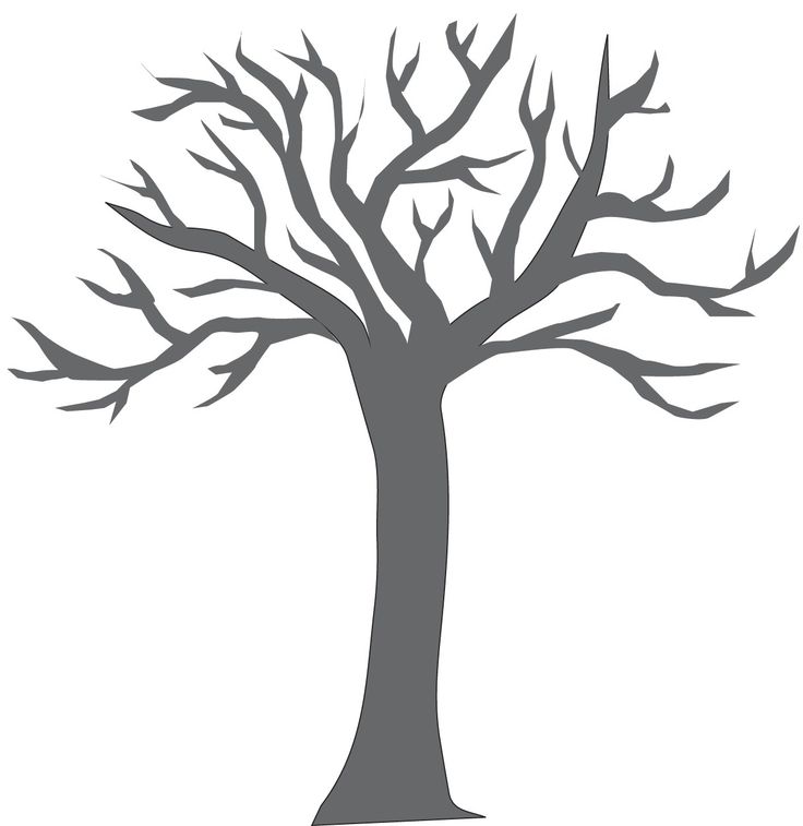 736x757 Trunk Clipart Empty Tree