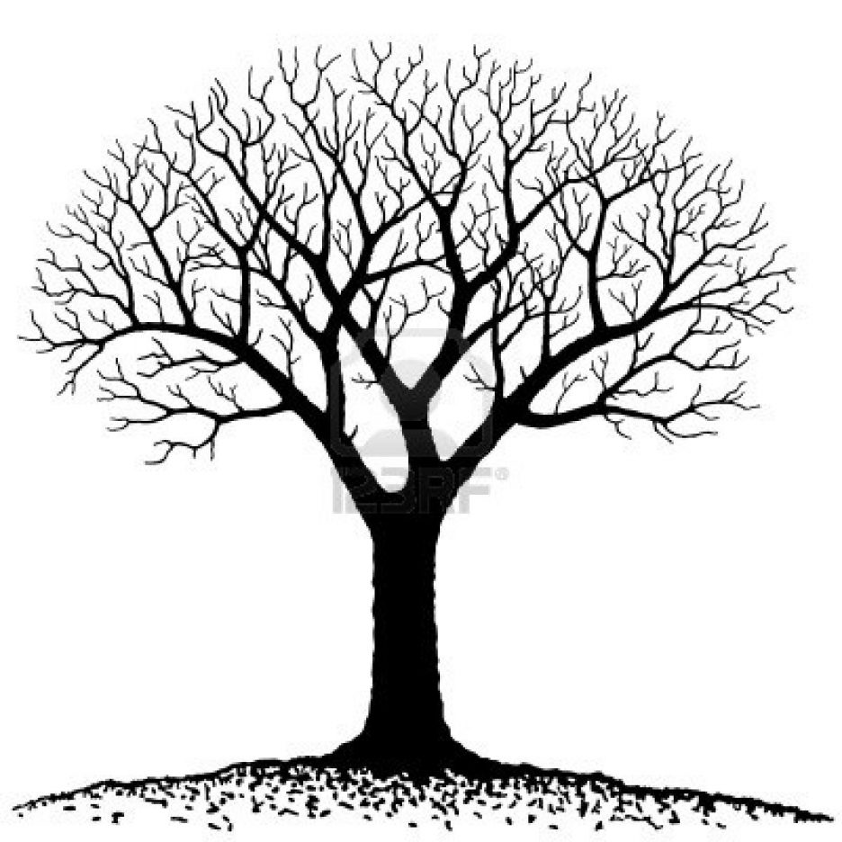 936x936 Adult Tree Without Leaves Template Tree With No Leaves Template