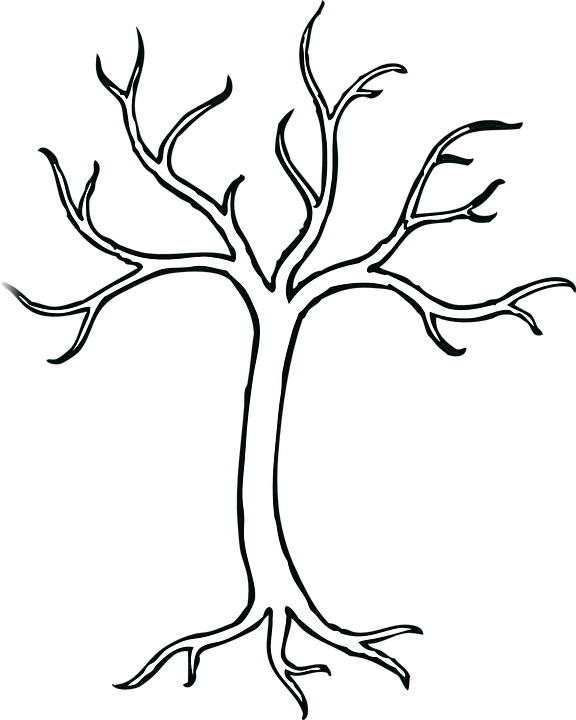 576x720 Dead Tree Clipart Bare Tree Branch
