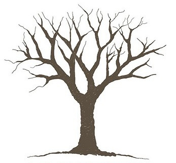 347x320 Mormon Share } Tree Bare Fall Trees, White Image And Clip Art