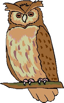 218x349 Top 90 Owl Clip Art