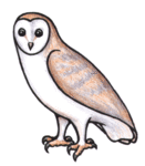 131x150 Top 88 Barn Owl Clip Art