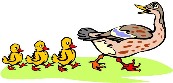 565x271 Duck Farm Clipart, Explore Pictures