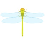 150x150 Baseball Field Plan Drawing Vector Image