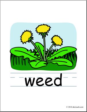 304x392 Clip Art Basic Words Weed Color (Poster) I Abcteach
