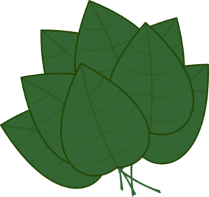 299x282 Basil Leaves Clip Art