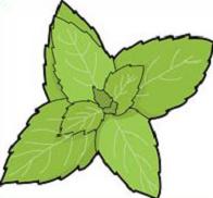 196x182 Basil Clipart