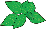 190x120 Basil Clipart Herb