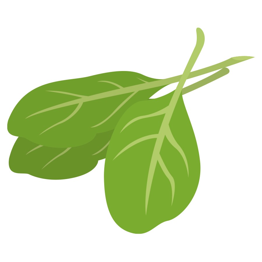 900x900 Basil Clipart Spinach Leaf