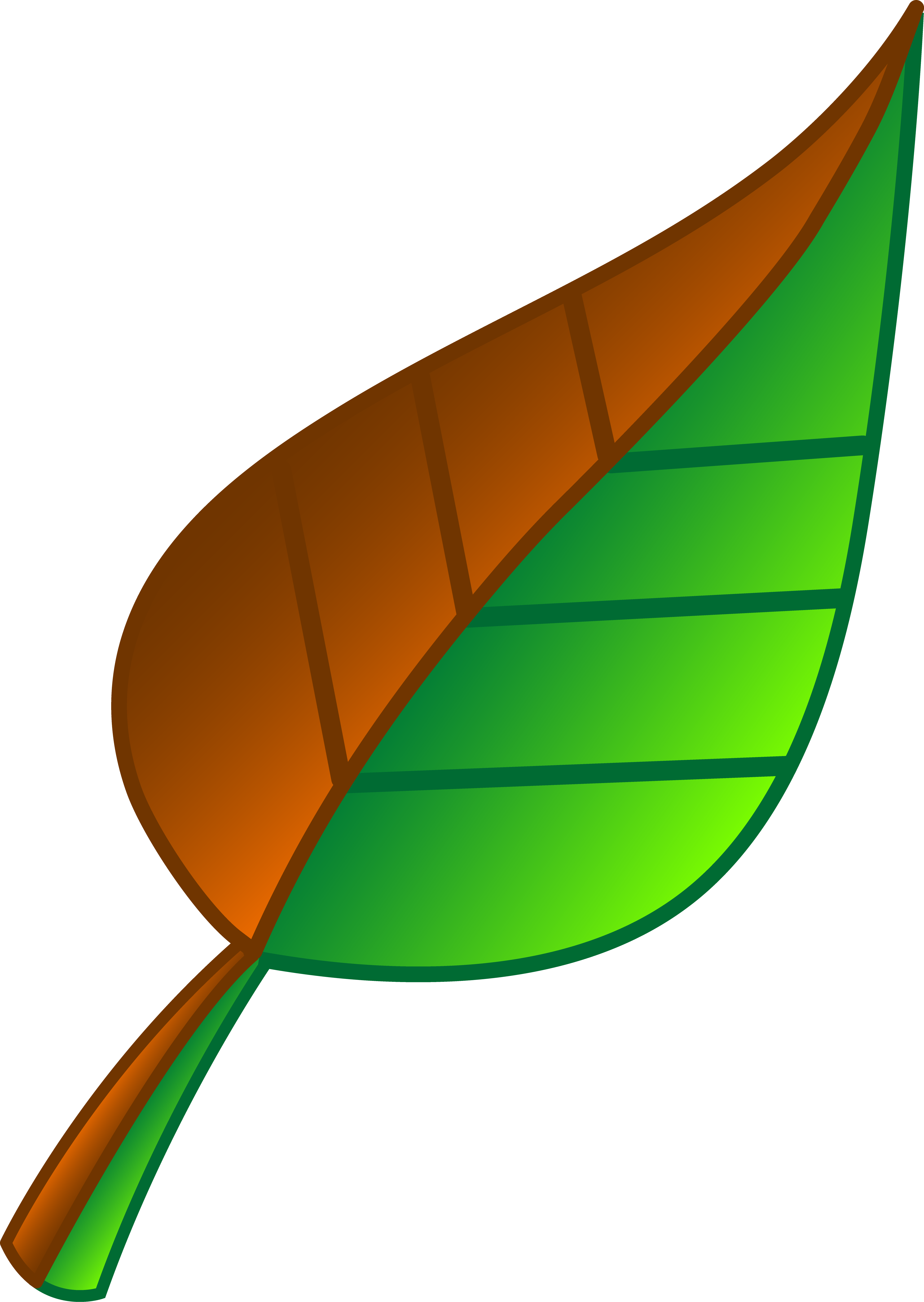 3906x5502 Brown And Green Leaf