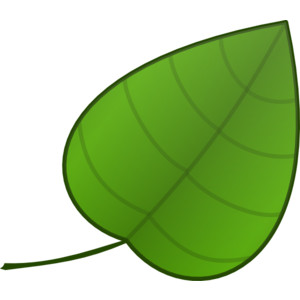 300x300 Free Download Green Leaf Clip Art