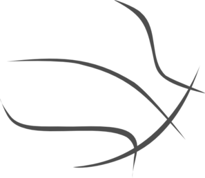 297x258 Basketball Transparent Outline Clip Art Vector Clip