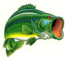 257x224 Jumping Bass Fish Clip Art Clipart Panda