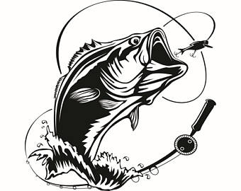 340x270 Trout Clipart Bass Fishing