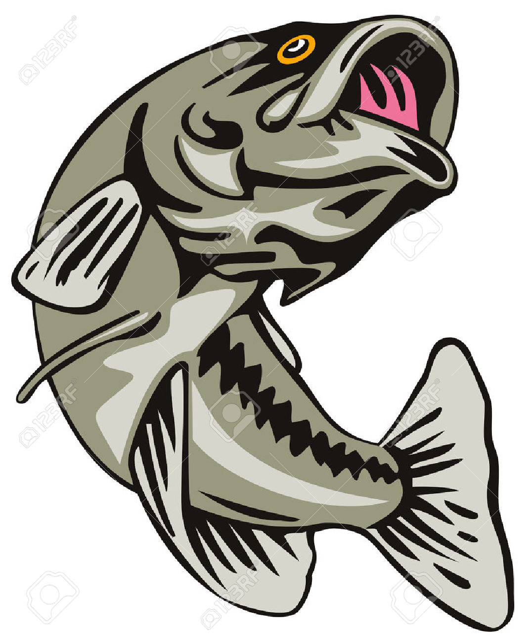 1070x1300 Fishing Clipart Largemouth Bass