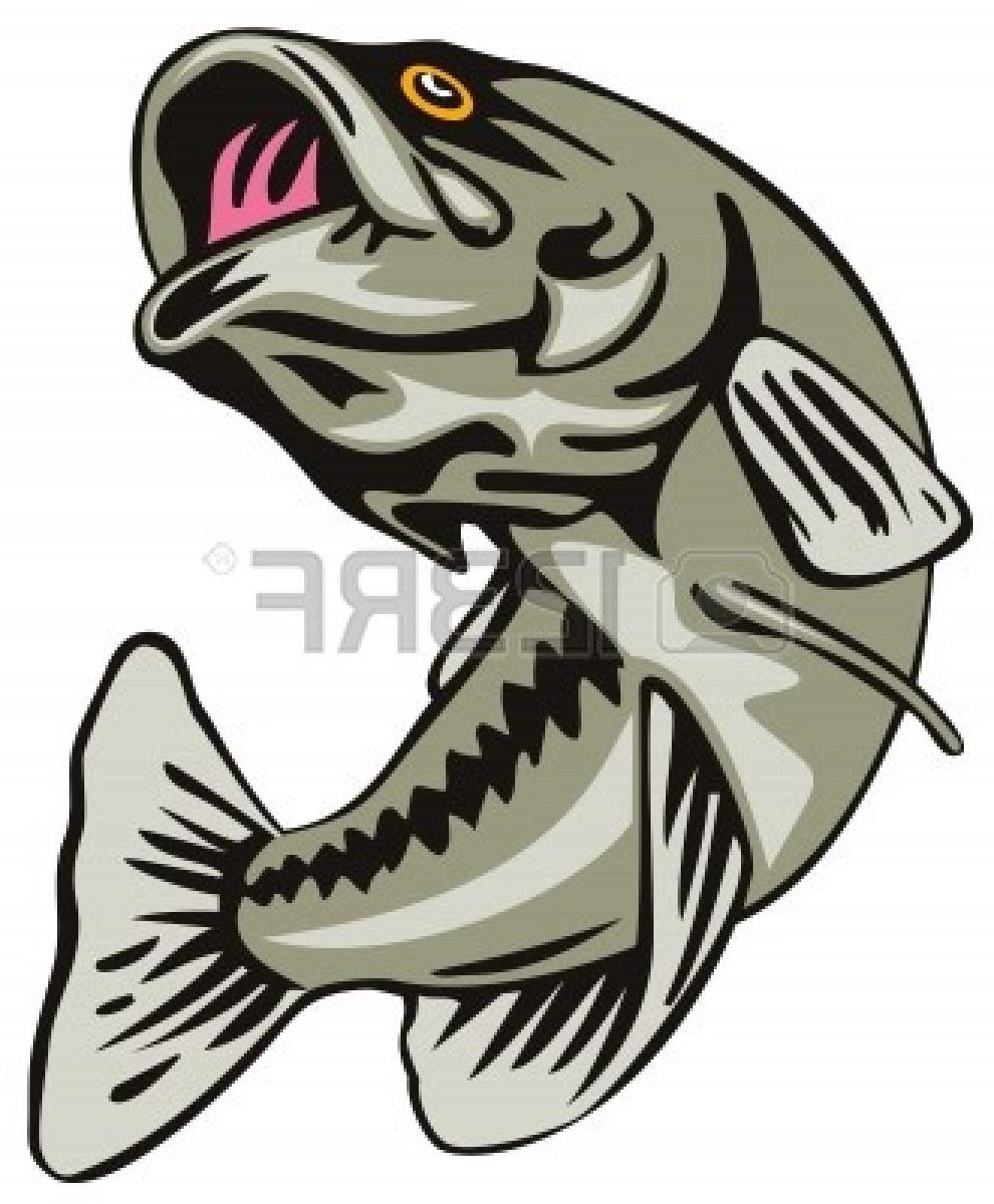 990x1200 Hd Jumping Bass Fish Clip Art Largemouth Bas Photos